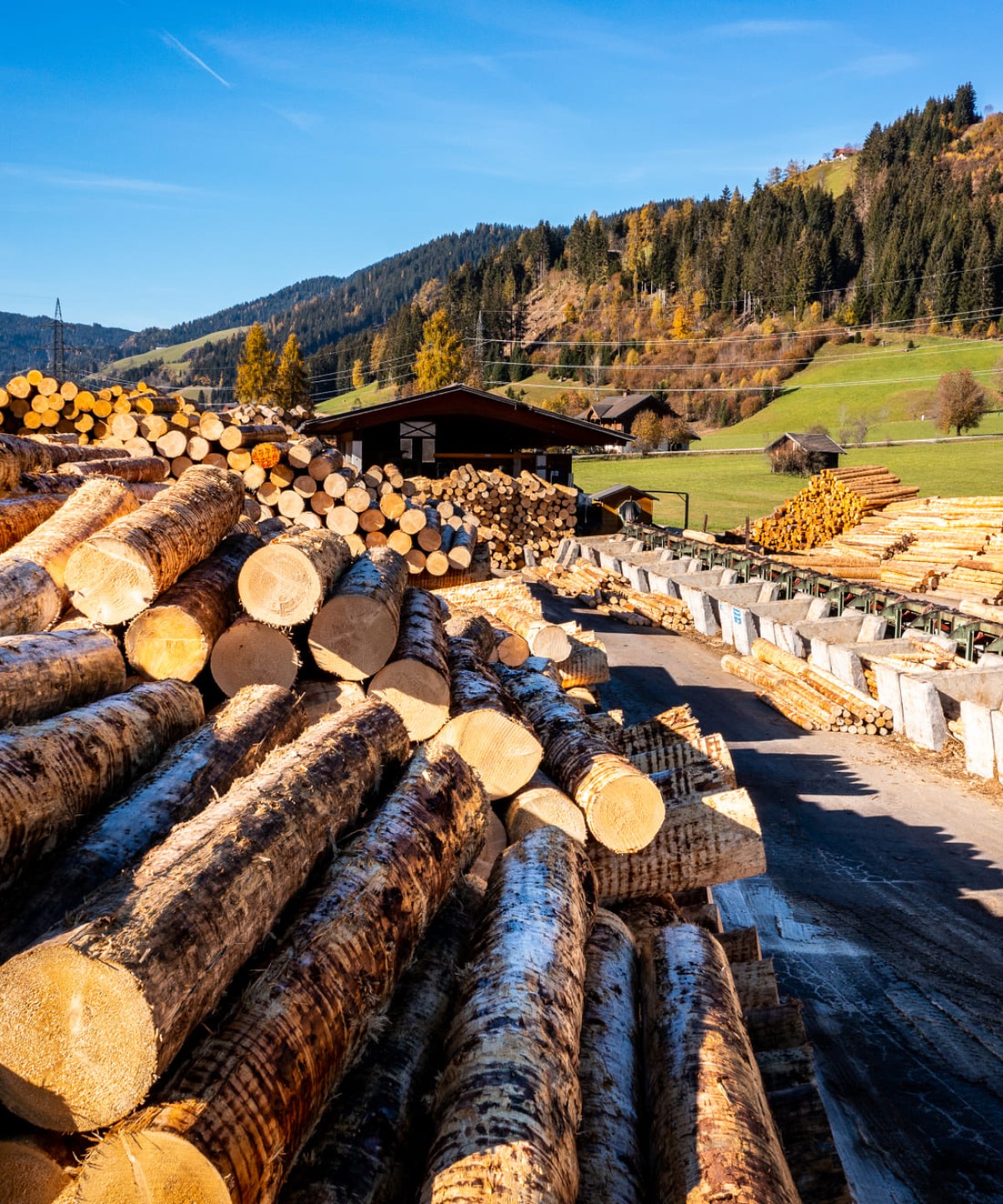 Lagerung des Holzes beim Sägewerk in Flachau © Christian Fischbacher