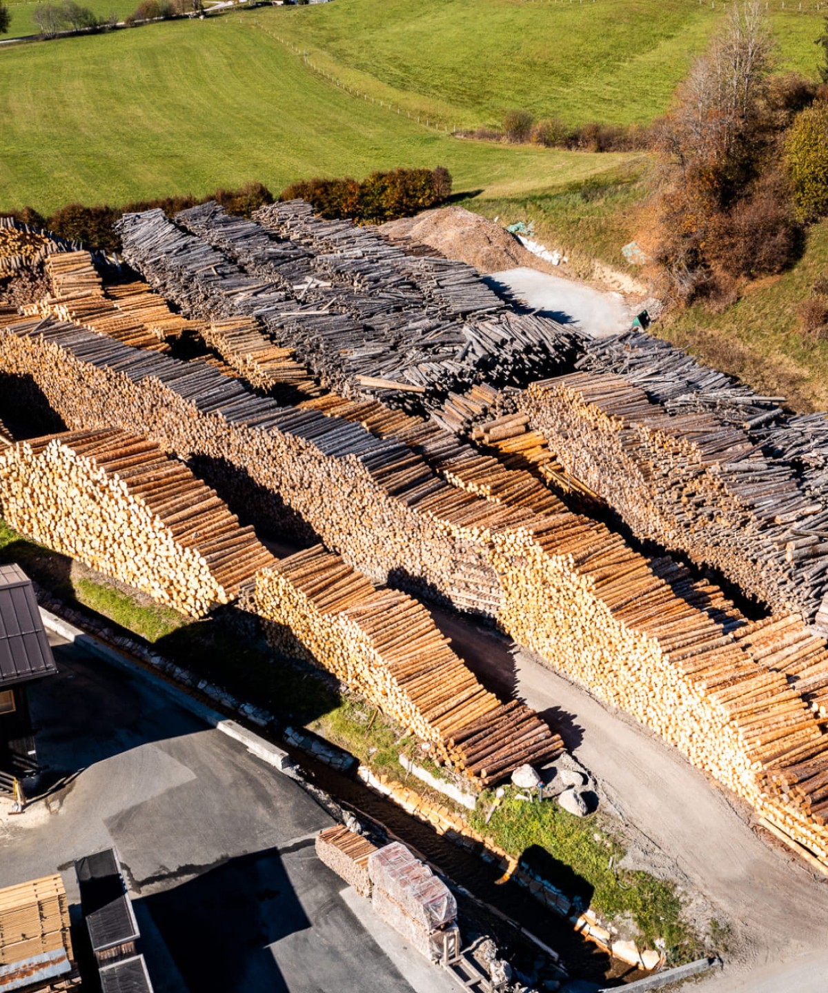 Holzlagerung am Sägewerk Schnell im Salzburger Land © Christian Fischbacher