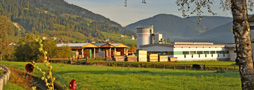 Säge- und Hobelwerk in Flachau