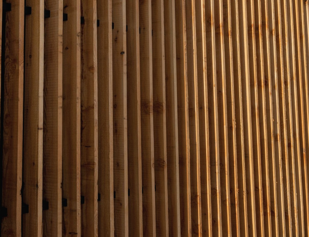 Bäume als Hintergrund © Shutterstock.com