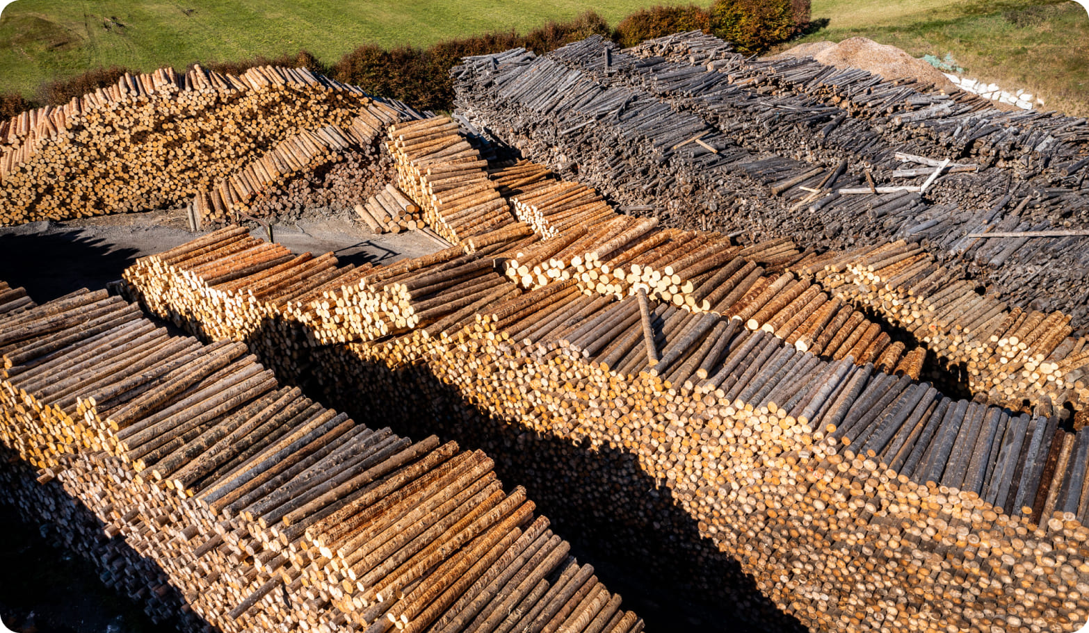 Gestapeltes Holz beim Sägewerk in Flachau © Lorenz Masser Fotografie