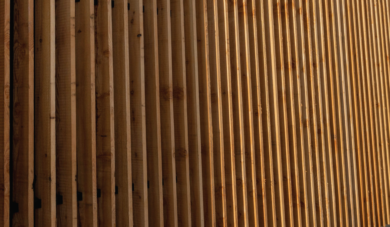 Detailansicht von Holz © Shutterstock.com