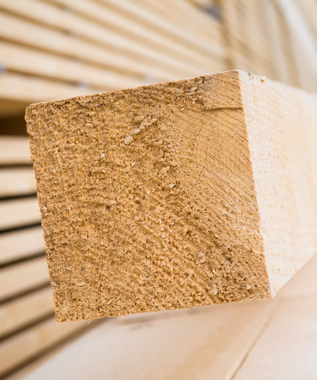 Detailaufnahme Bauholz/Bauware von Holz Schnell © Christine Höflehner