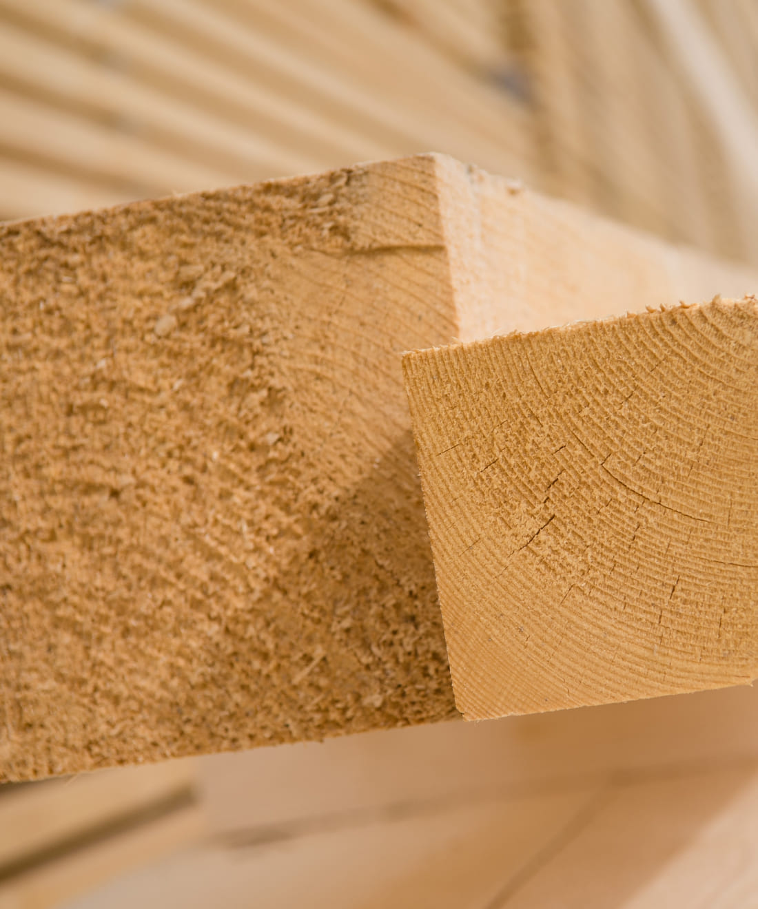 Detailaufnahme KVH-Rohware von Holz Schnell © Christine Höflehner