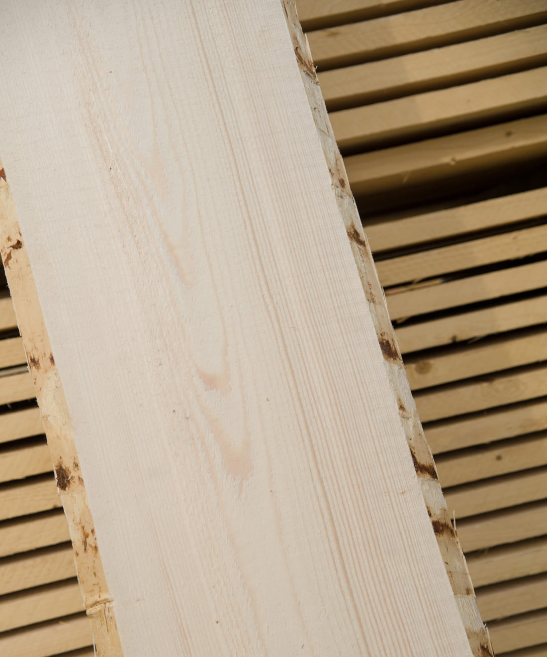 Detailaufnahme unbesäumte Ware von Holz Schnell © Christine Höflehner